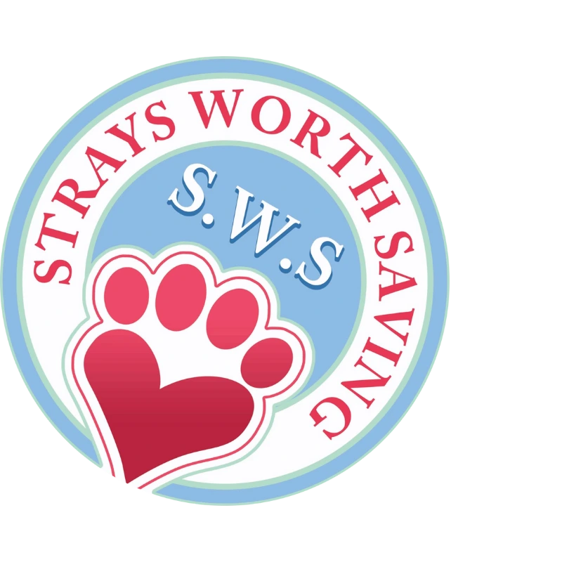 Strays Worth Saving